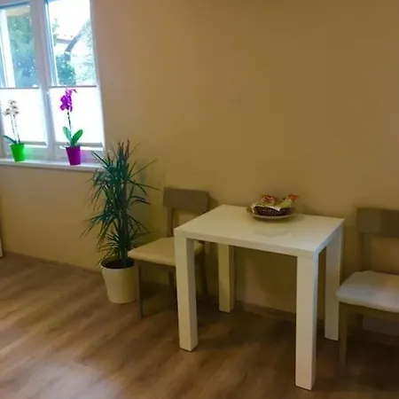 Apartment Cosy Studio Paul With Great Location Ljubljana